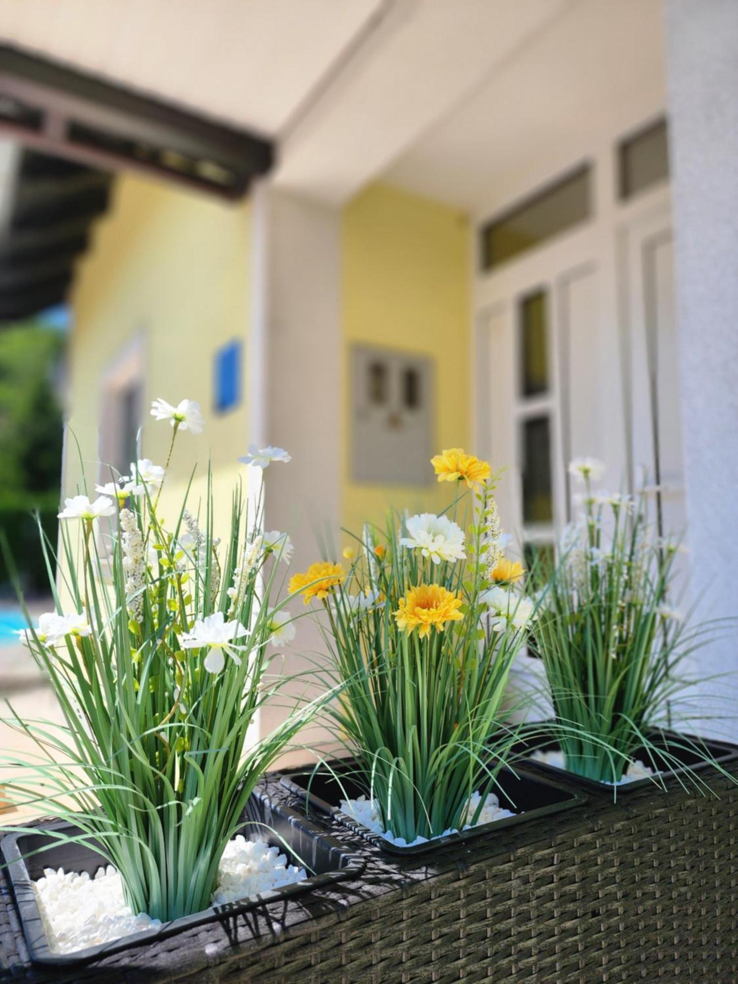 Villa Spa Magic Tuheljske Toplice Buitenkant foto