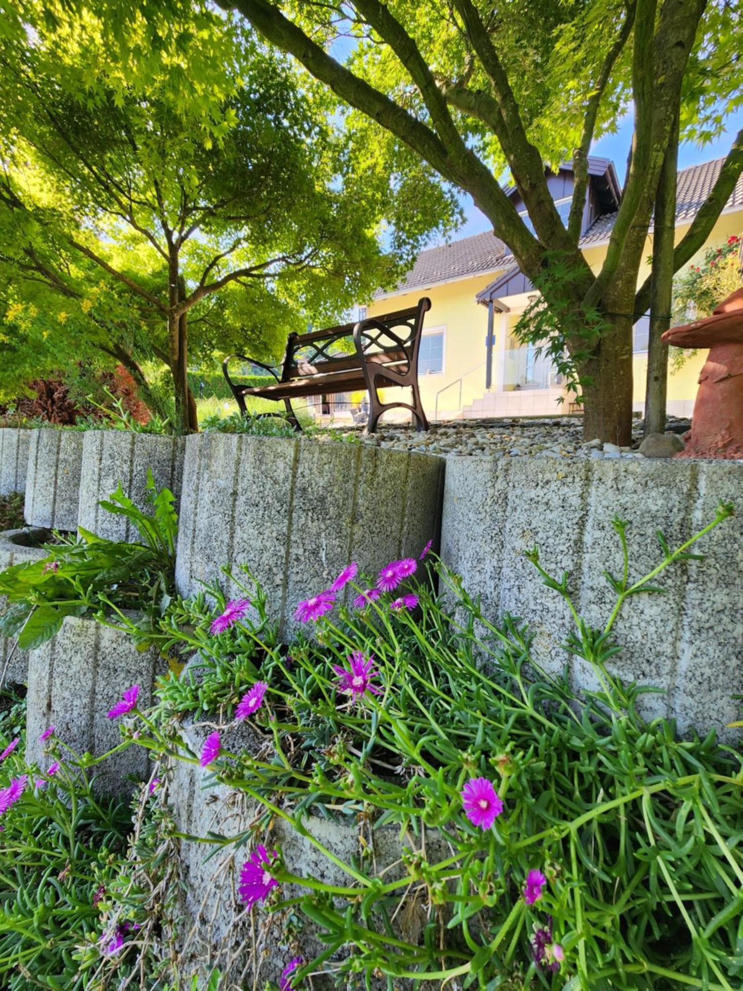 Villa Spa Magic Tuheljske Toplice Buitenkant foto